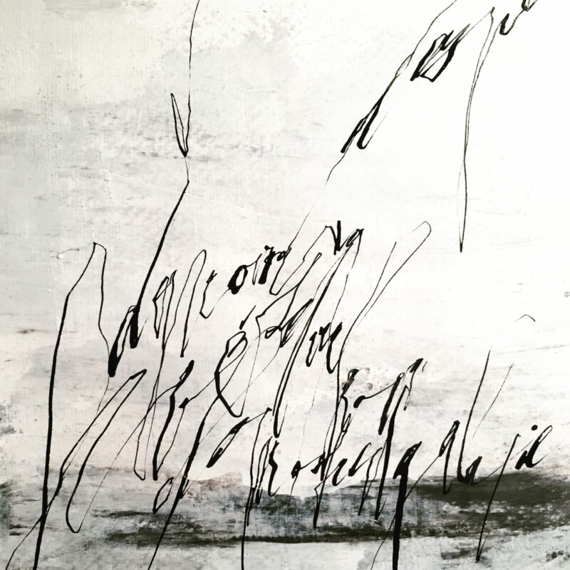 nikola klanicova text art